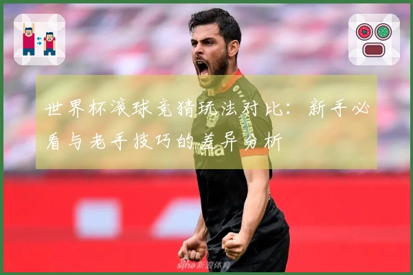 世界杯滚球竞猜玩法对比：新手必看与老手技巧的差异分析