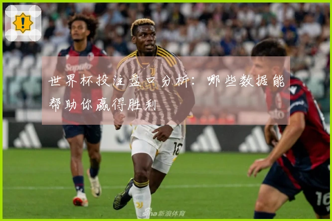 世界杯投注盘口分析：哪些数据能帮助你赢得胜利