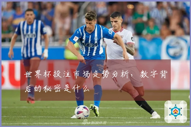 世界杯投注市场走势分析，数字背后的秘密是什么