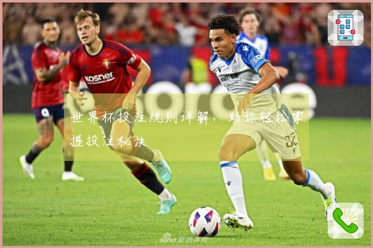 世界杯投注规则详解，助你轻松掌握投注秘诀