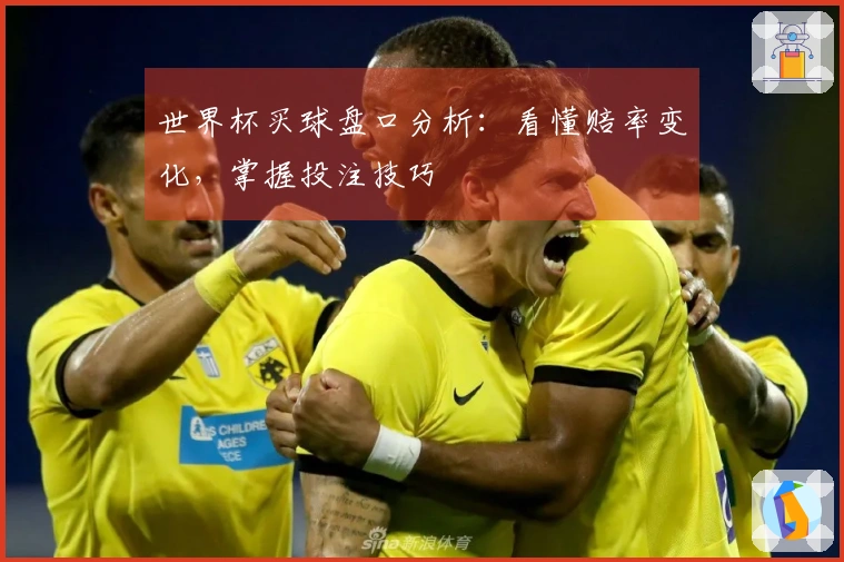 世界杯买球盘口分析：看懂赔率变化，掌握投注技巧