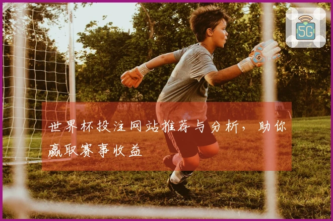 世界杯投注网站推荐与分析，助你赢取赛事收益