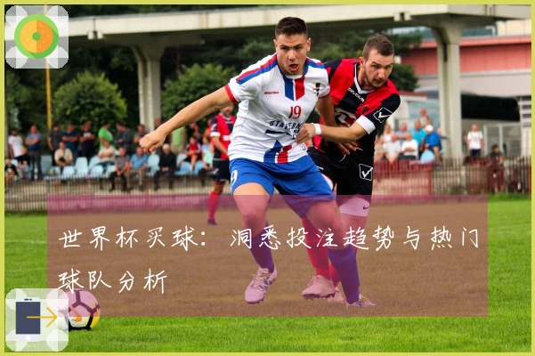 世界杯买球：洞悉投注趋势与热门球队分析